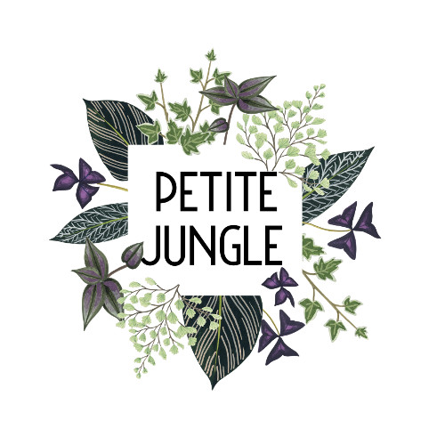 Petite Jungle